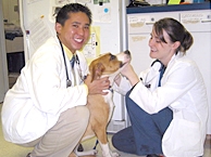 Cornell Students with Dog